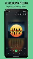 RAV Player Poster