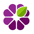 Totih APK