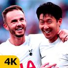 Tottenham Wallpaper आइकन