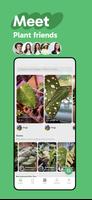 PalmStreet - Buy Plants Live capture d'écran 2