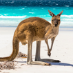 Australia’s Best: Travel Guide