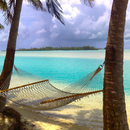 Cook Islands' Best: Trip Guide APK