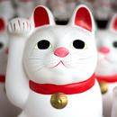Japan’s Best: Travel Guide APK