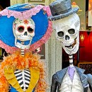 Mexico City’s Best: Trip Guide APK