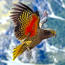 New Zealand’s Best: Trip Guide APK