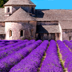 Provence's Best: France Travel Guide