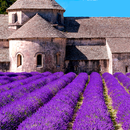 Provence's Best: France Travel Guide APK