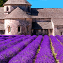 Provence's Best: France Travel Guide aplikacja