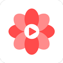 Touch Shorts -Short Drama APK