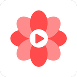 Touch Shorts -Short Drama APK