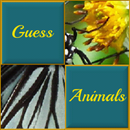 Guess Animals APK