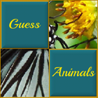 Guess Animals иконка