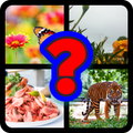 Guess It - Real Quiz