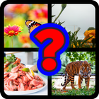 Guess It icon