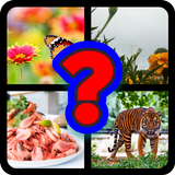 Guess It icon