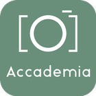 Accademia Gallery Visit, Tours আইকন
