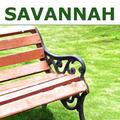 Savannah Experiences