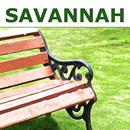 Savannah Experiences APK