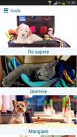 Viaggiare con Cane e Gatto 截图 1