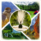 Learn Gilgiti/Kashmiri Language icône