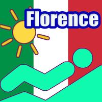 Florence Tourist Map Offline Plakat