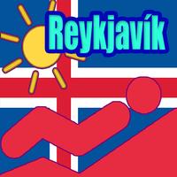 Reykjavík Tourist Map Offline Cartaz