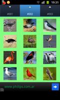 Birds Wallpapers Screenshot 1