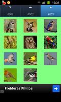 Birds Wallpapers ภาพหน้าจอ 2