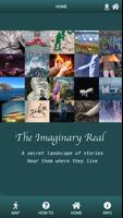 The Imaginary Real Cartaz
