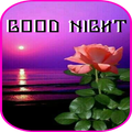 GOOD NIGHT IMAGES