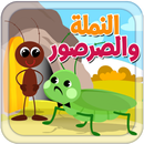 النملة والصرصور - بدون انترنت APK