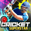 Cricket Superstar Offline آئیکن