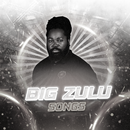 Big Zulu All Songs APK