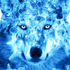خلفية الذئب النار الجليدvv أيقونة