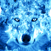 Ice Fire Wolf Wallpaper