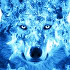 Ice Fire Wolf Wallpaper icon