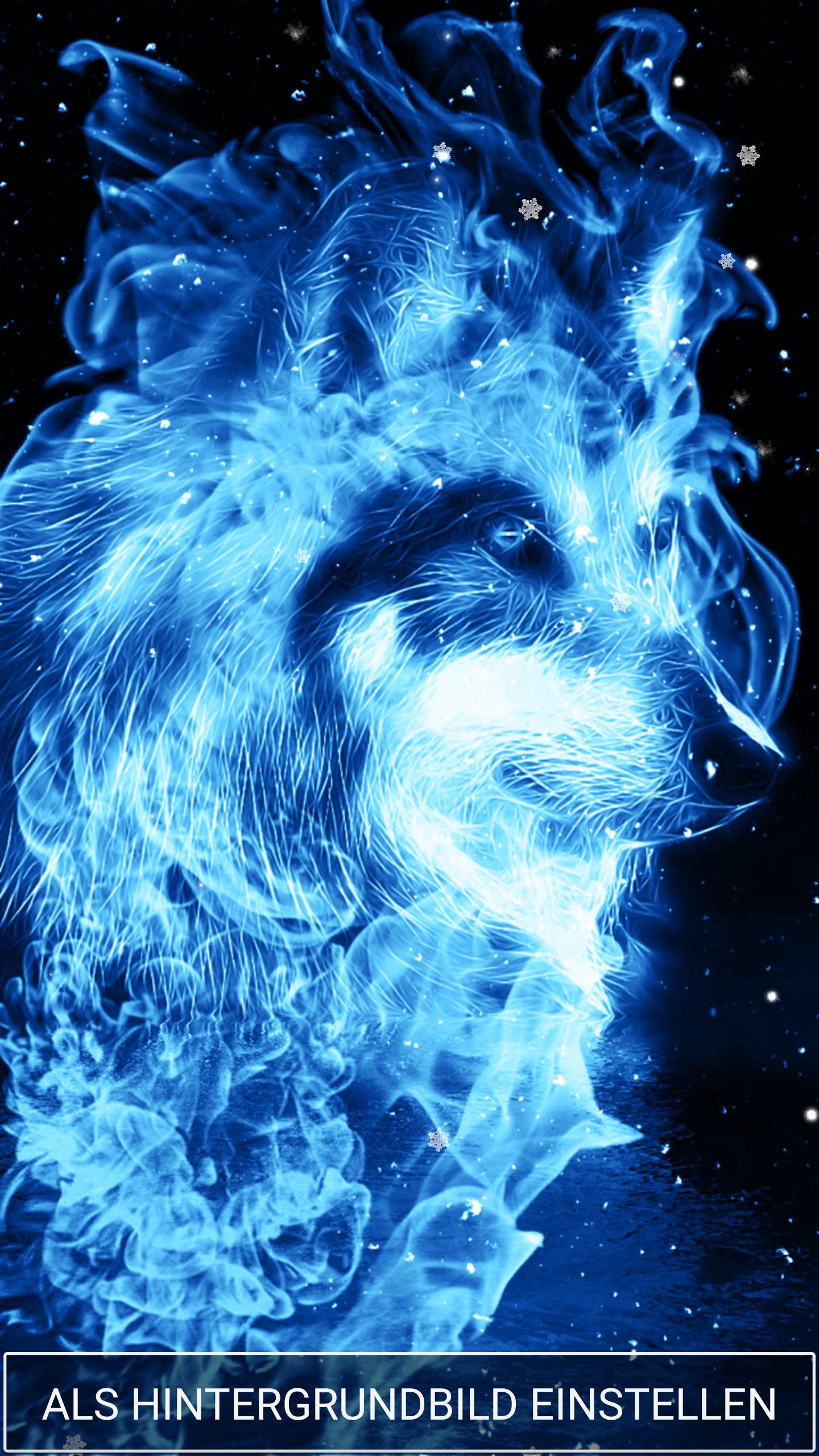 Hintergrundbilder Live Wolf Fur Android Apk Herunterladen