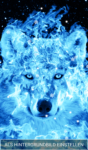 Hintergrundbilder Live Wolf Apk 1 8 Fur Android Herunterladen Die Neueste Verion Von Hintergrundbilder Live Wolf Apk Herunterladen Apkfab Com