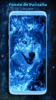 Fondo de Pantalla de Lobo Azul captura de pantalla 3