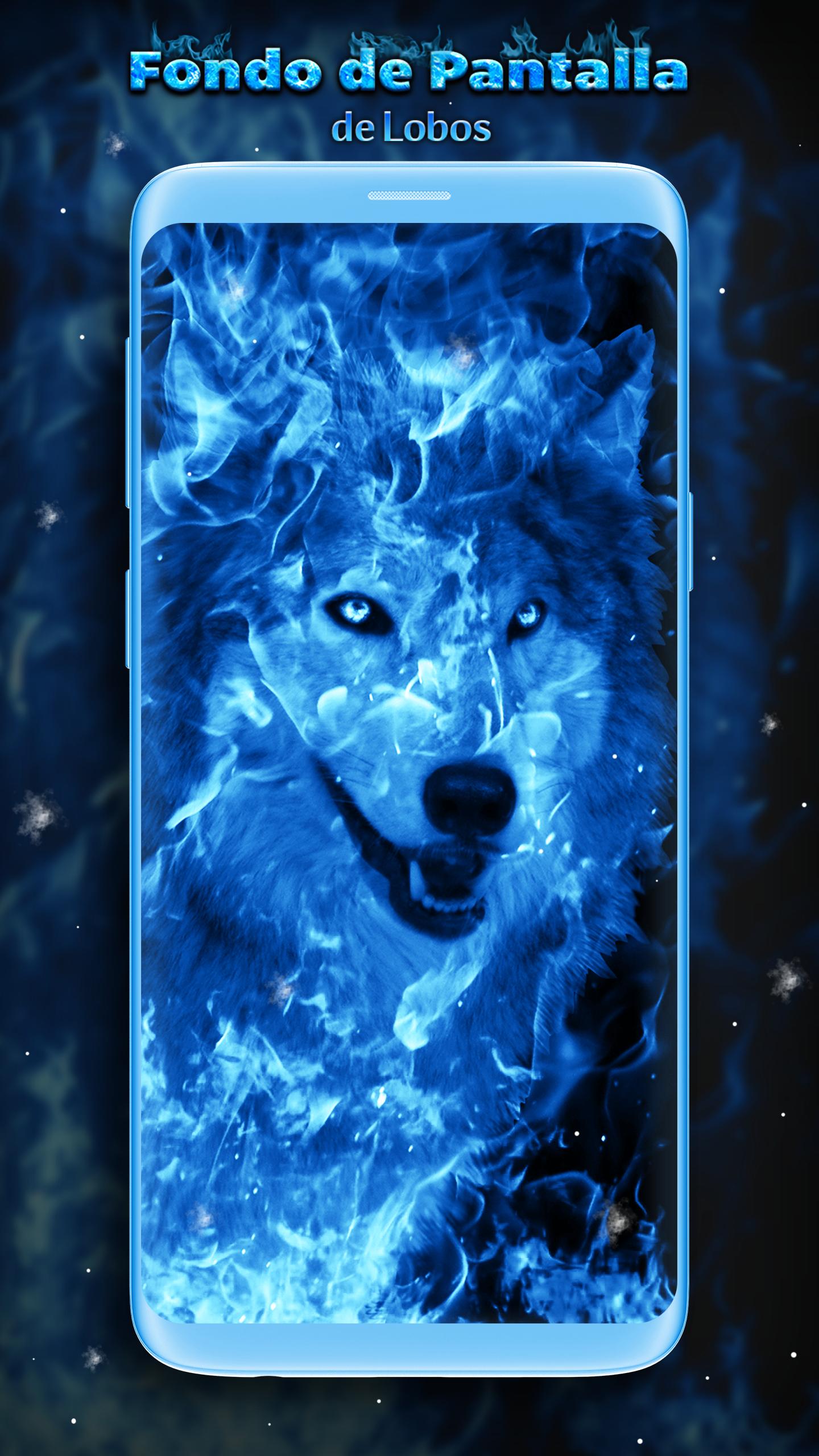 Fondo de Pantalla de Lobo Azul for Android - APK Download