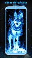 Fondo de Pantalla de Lobo Azul Poster