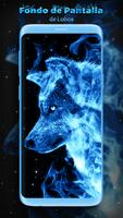 Fondo de Pantalla de Lobo Azul captura de pantalla 1