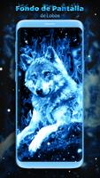 Fondo de Pantalla de Lobo Azul captura de pantalla 2