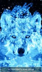 Скачать Синий Волк Живые Обои XAPK