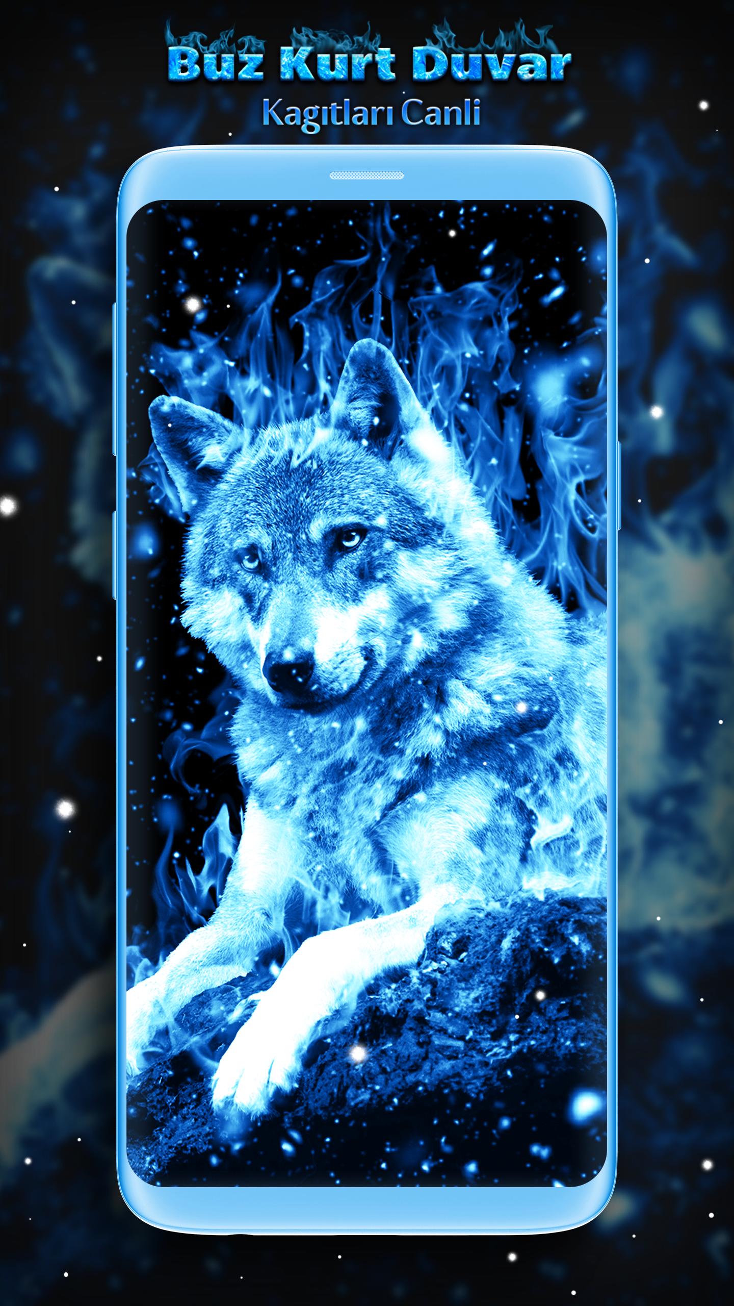 Android için Buz Kurt Duvar Kagıtları Canli APK�yı İndir