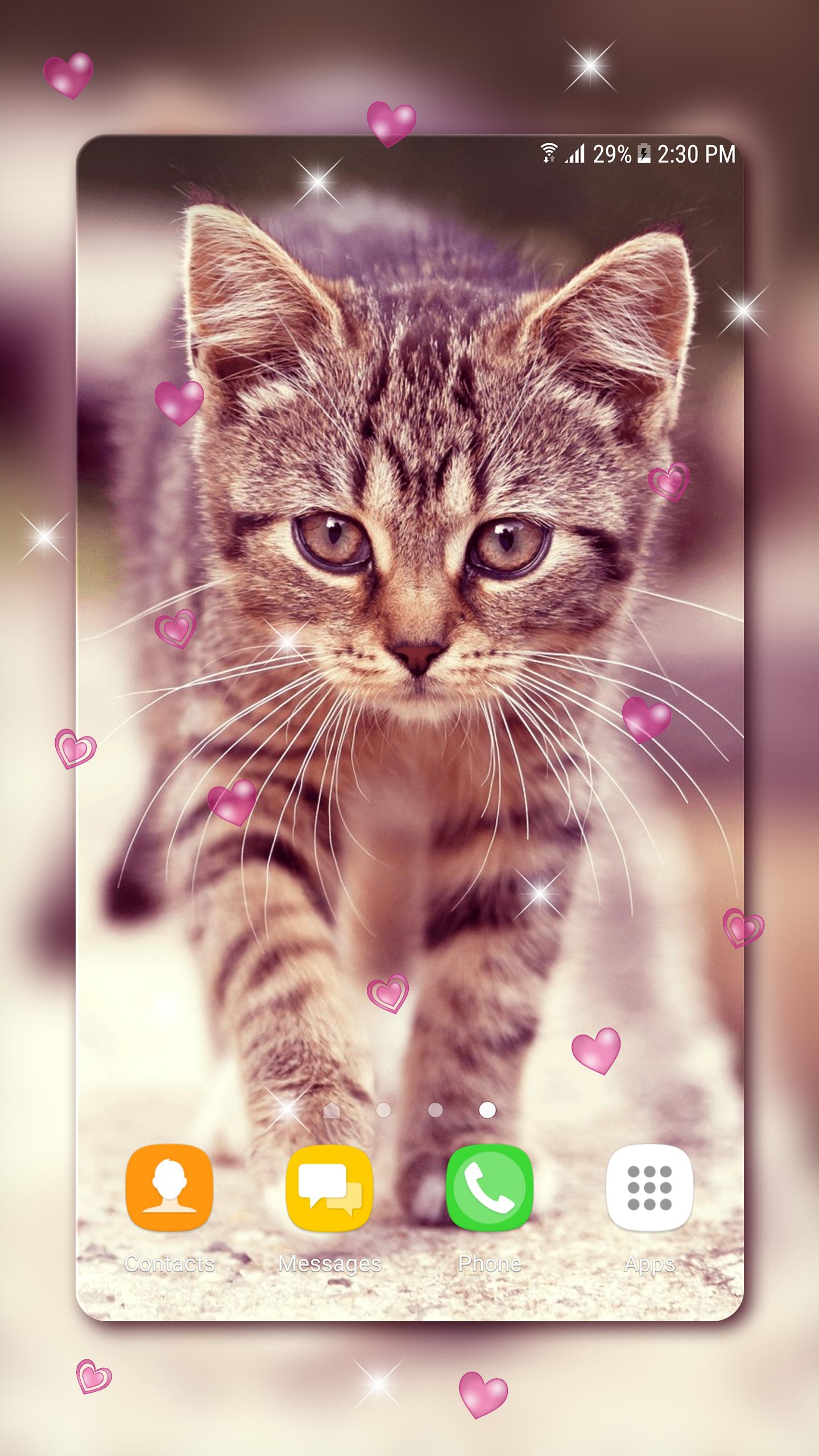 Android 用の かわいい子猫 ライブ壁紙 Apk をダウンロード