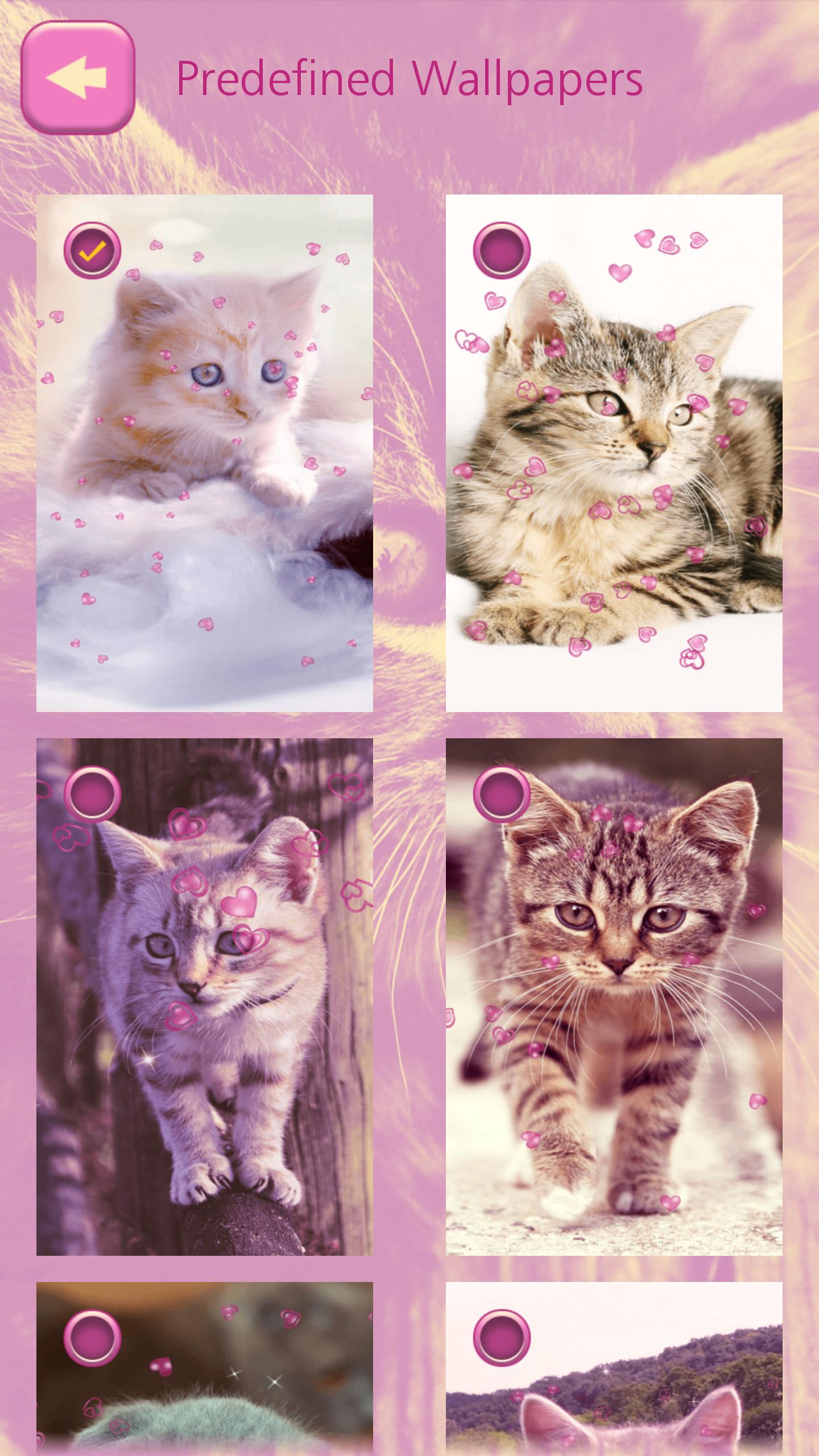 Anak Kucing Lucu Wallpaper For Android APK Download