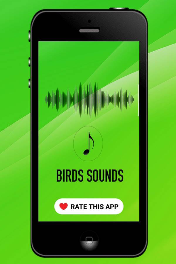 Рингтон bird. На смс рингтон птички. Bird Sounds and Ringtones.