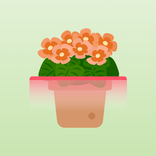 Leaf Sense: Plant Care