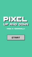 Pixel Up And Down Affiche
